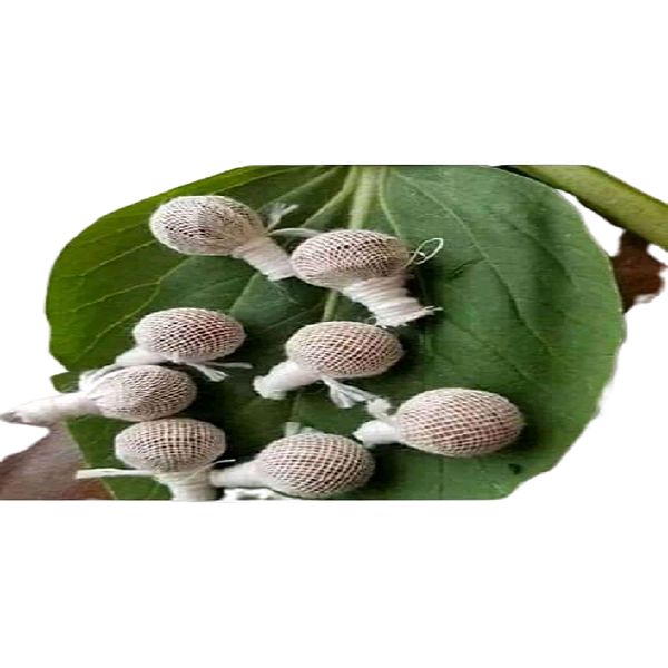 Rare Touch Yoni Pearls